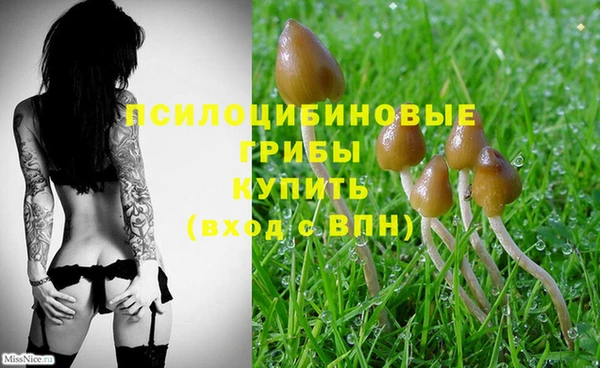 экстази Гусь-Хрустальный