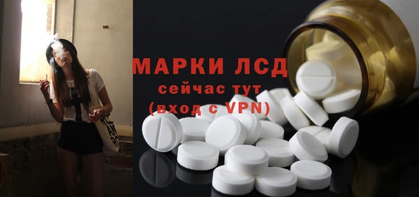 таблы Гусев