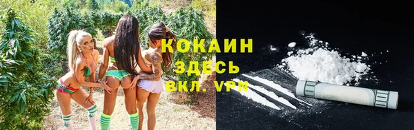 экстази Гусь-Хрустальный