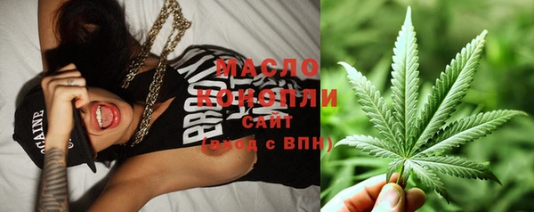 таблы Гусев