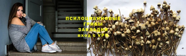 гашик Гусиноозёрск